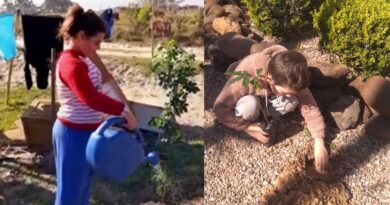 Alunos plantam árvores em suas casas na semana do meio ambiente