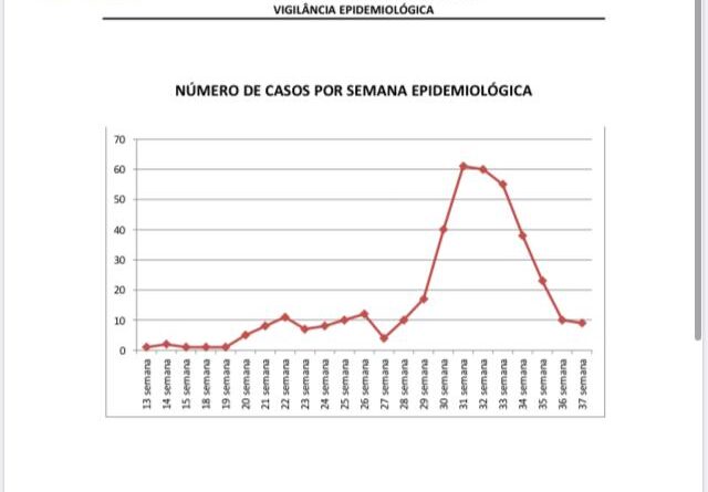 Gráfico registra queda nas duas últimas semanas